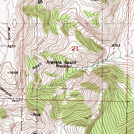 Topographic Map of Argenta Guard Station, MT