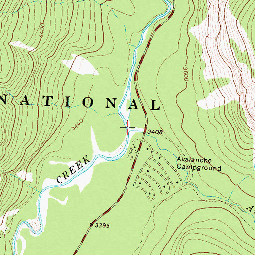 Topographic Map of Avalanche Creek, MT