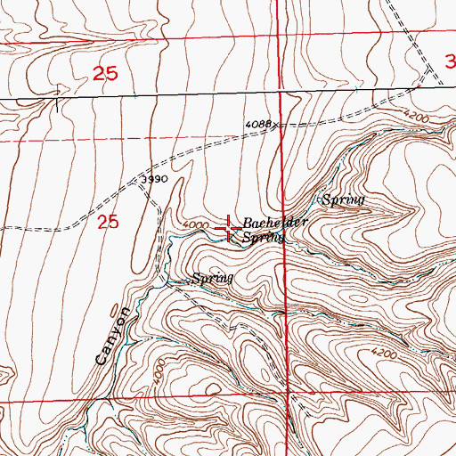 Topographic Map of Bachelder Spring, MT
