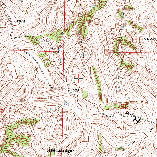 Topographic Map of Badger Hills, MT