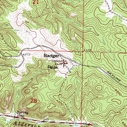 Topographic Map of Badger Peak, MT