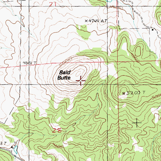 Topographic Map of Bald Butte, MT