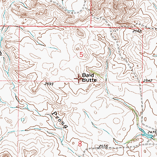 Topographic Map of Bald Butte, MT