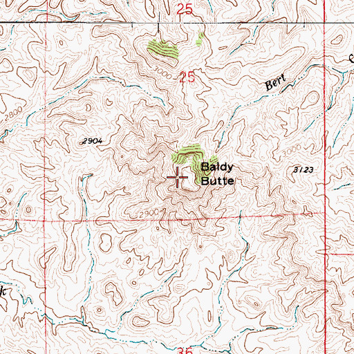 Topographic Map of Baldy Butte, MT