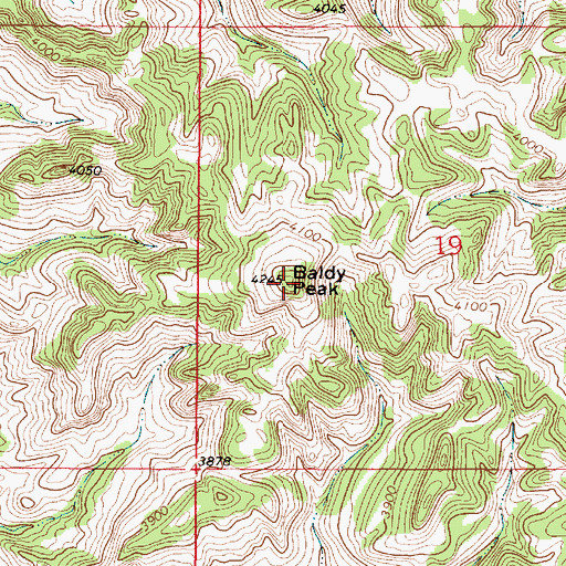 Topographic Map of Baldy Peak, MT