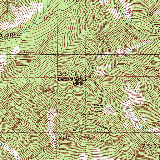 Topographic Map of Barbara Ann Mine, MT