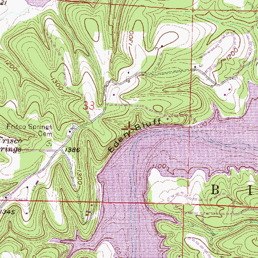 Topographic Map of Eden Bluff, AR