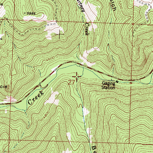 Topographic Map of Bear Gulch, MT