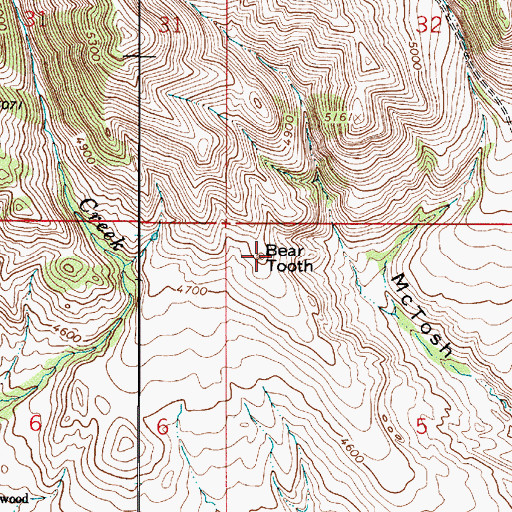 Topographic Map of Bear Tooth, MT