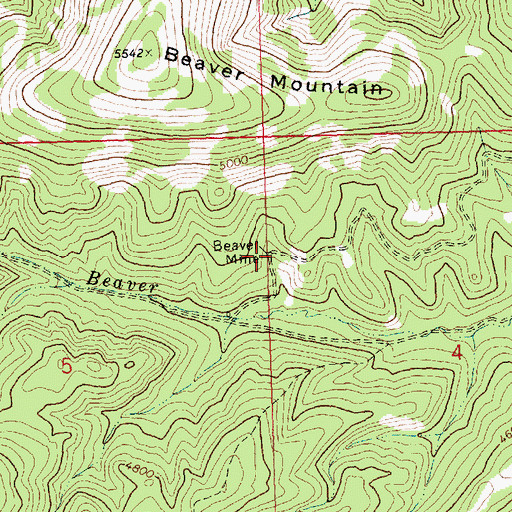 Topographic Map of Beaver Mine, MT