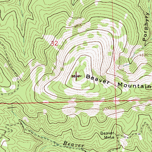 Topographic Map of Beaver Mountain, MT