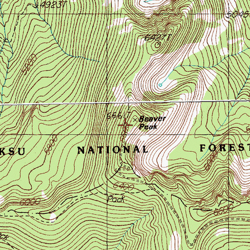 Topographic Map of Beaver Peak, MT