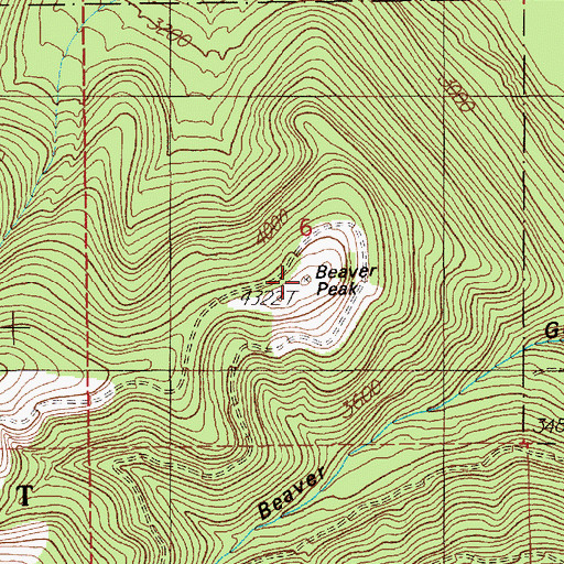Topographic Map of Beaver Peak, MT