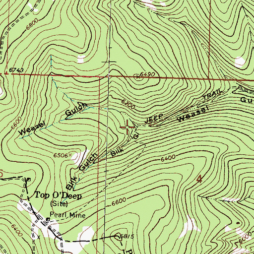 Topographic Map of Bilk Gulch, MT