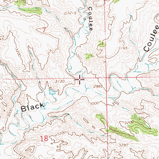 Topographic Map of Bills Coulee, MT