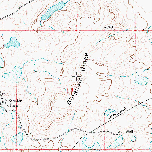 Topographic Map of Bingham Ridge, MT