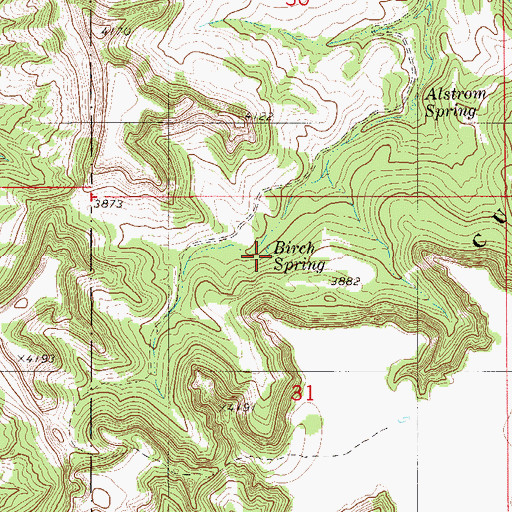 Topographic Map of Birch Spring, MT