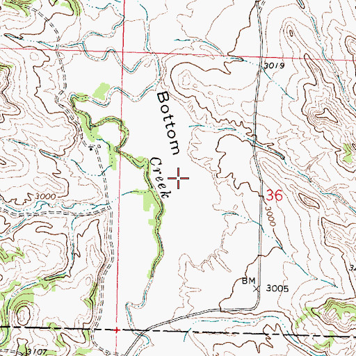 Topographic Map of Bird Bottom, MT