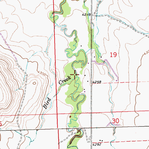 Topographic Map of Bird Creek, MT