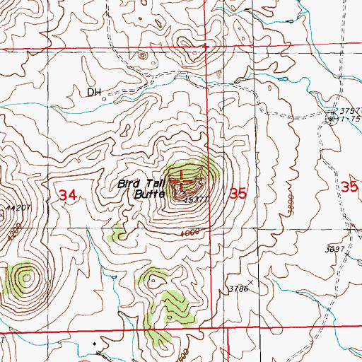 Topographic Map of Bird Tail Butte, MT
