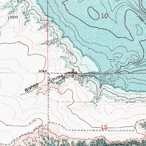Topographic Map of Bishop Coulee, MT