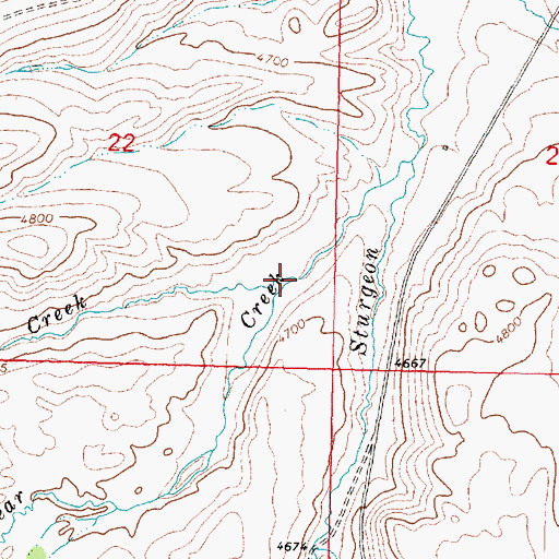 Topographic Map of Black Bear Creek, MT