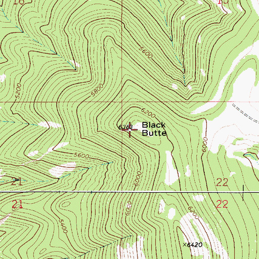 Topographic Map of Black Butte, MT