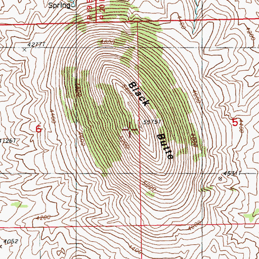 Topographic Map of Black Butte, MT