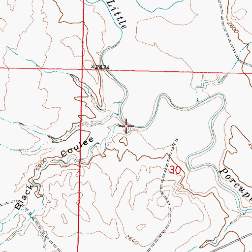 Topographic Map of Black Coulee, MT