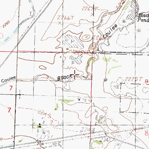 Topographic Map of Black Coulee, MT