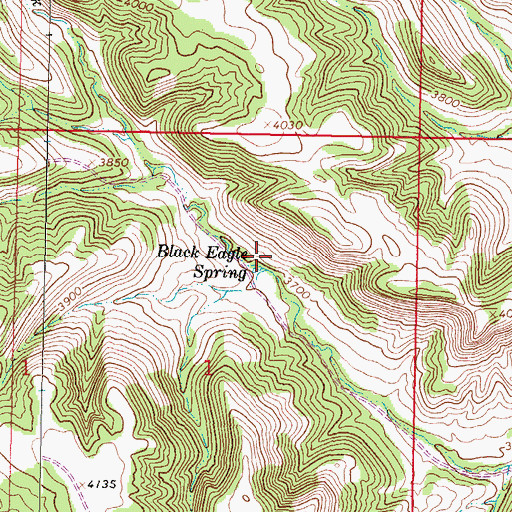 Topographic Map of Black Eagle Spring, MT