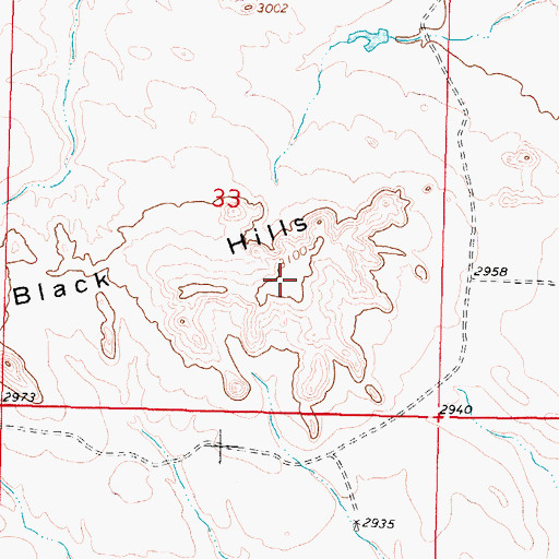 Topographic Map of Black Hills, MT