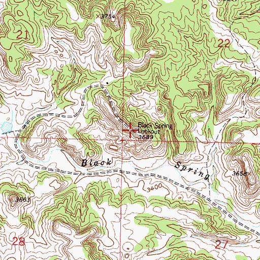 Topographic Map of Black Spring Lookout, MT