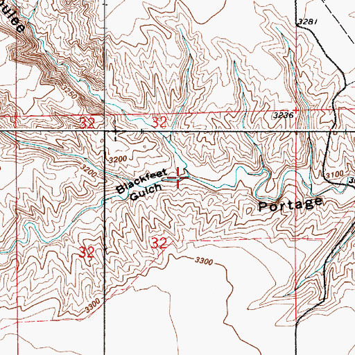 Topographic Map of Blackfeet Gulch, MT