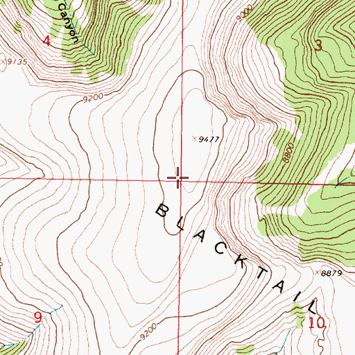 Topographic Map of Blacktail Mountains, MT