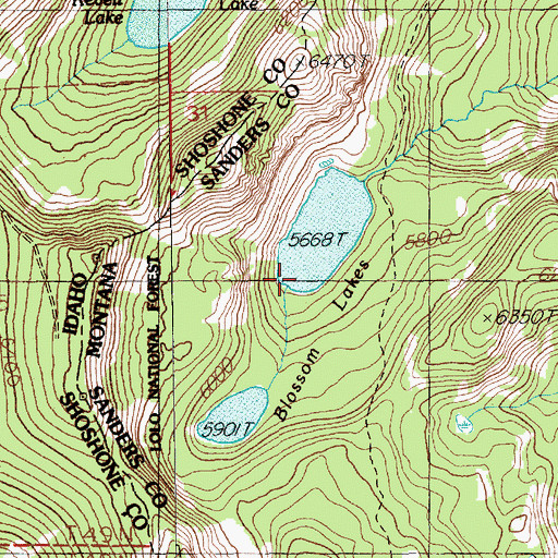 Topographic Map of Blossom Lakes, MT