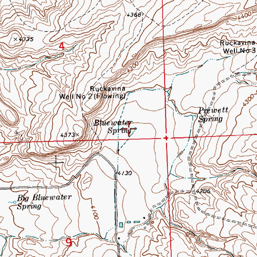 Topographic Map of Bluewater Spring, MT