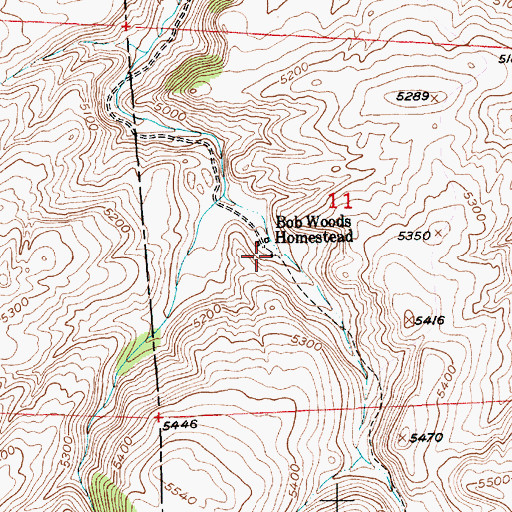 Topographic Map of Bob Woods Homestead, MT