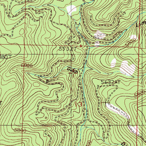 Topographic Map of Bobcat Gulch, MT