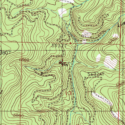 Topographic Map of Bobcat Gulch, MT