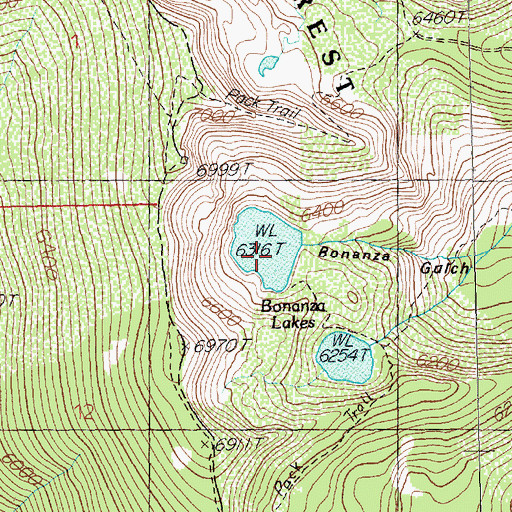 Topographic Map of Bonanza Lakes, MT