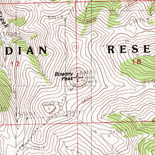 Topographic Map of Bowery Peak, MT