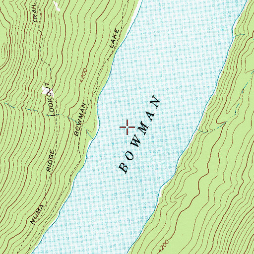 Topographic Map of Bowman Lake, MT