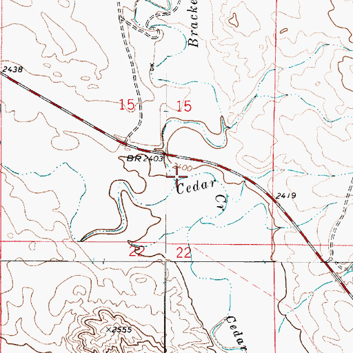 Topographic Map of Brackett Creek, MT
