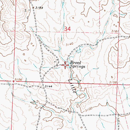 Topographic Map of Breed Springs, MT