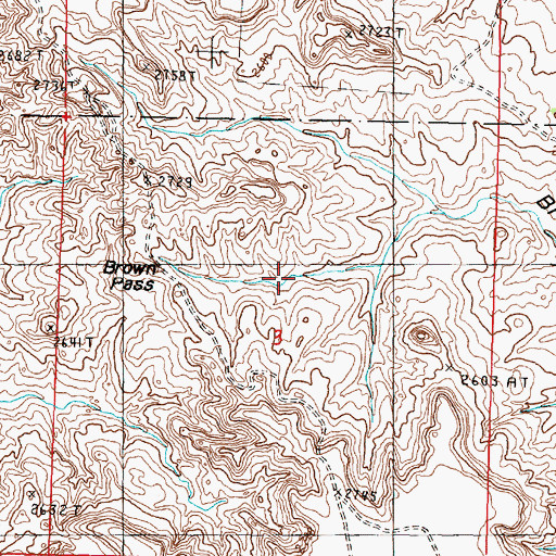 Topographic Map of Brown Pass, MT