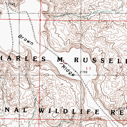 Topographic Map of Brown Ridge, MT