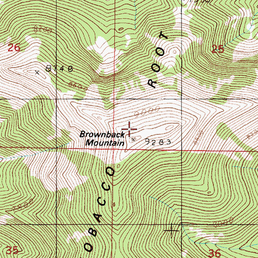 Topographic Map of Brownback Mountain, MT