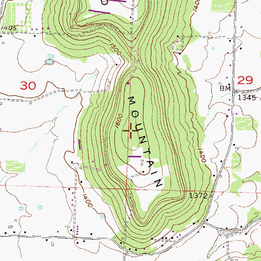 Topographic Map of Fitzgerald Mountain, AR