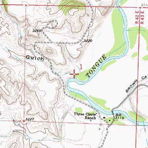 Topographic Map of Browns Gulch, MT